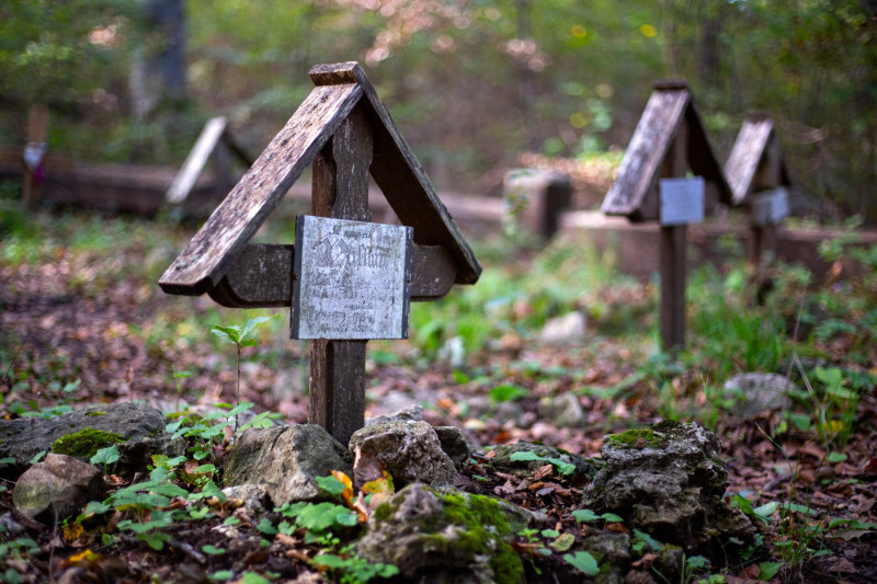 14 051 kutyatemető legrégebbi sir PK