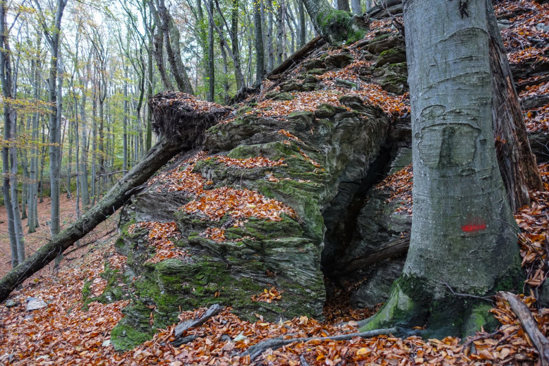 14 Kalapos-kői-barlang egyik bejárata