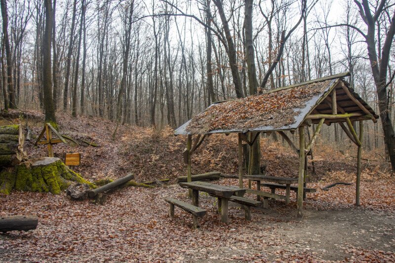 15 Studenka-forrás