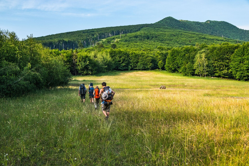 15 web_00 NYITÓ x013_ret FOTO Szigeti Ferenc Albert