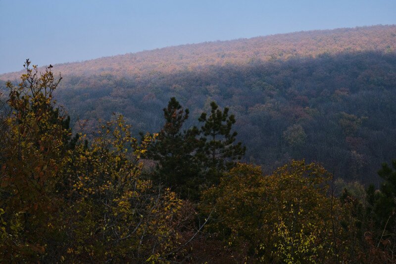1616_XS105126_241110