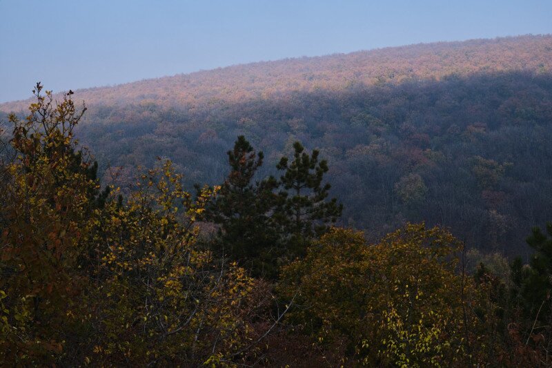 1616_XS105126_241110