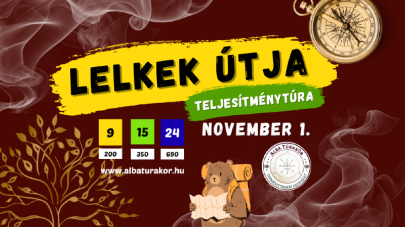 175923026268dbb936498c1_596x335