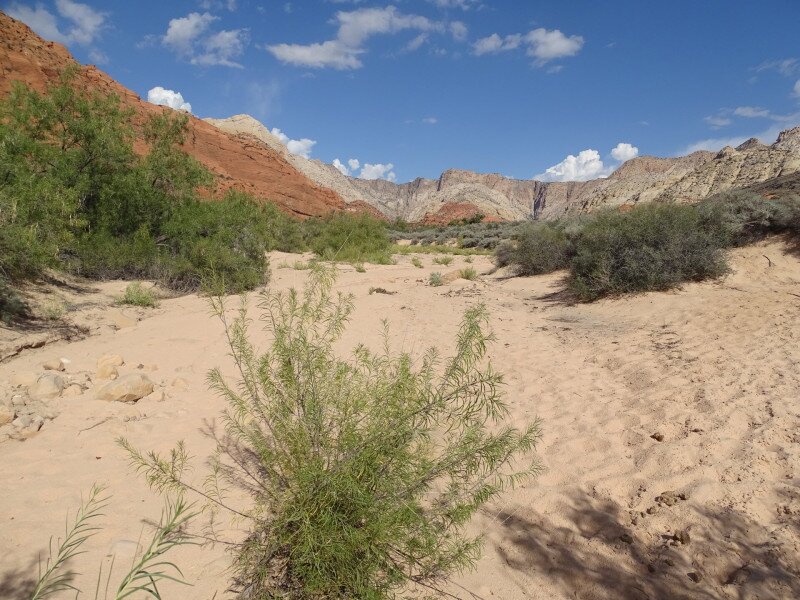 17_Idoszakos_folyo_medre