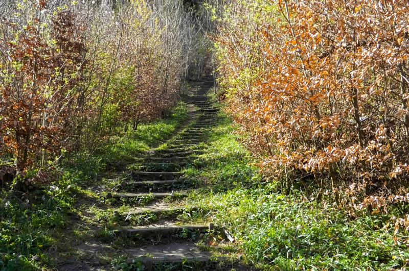 17 lépcső a tiszafáshoz