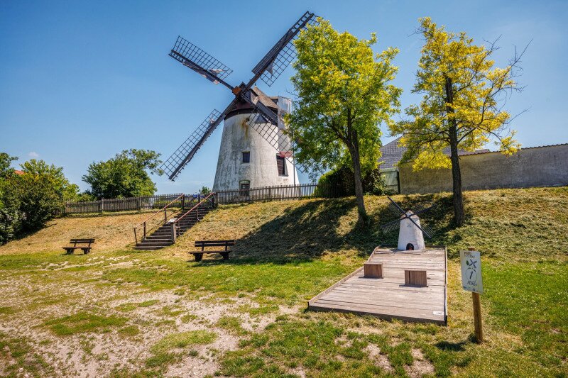 17 Podersdorf szélmalom 02 FOTO Csanádi Márton