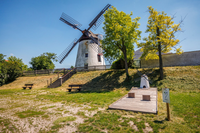 17 Podersdorf szélmalom 02 FOTO Csanádi Márton