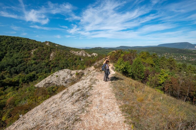 18_Borbas-gerinc_mikroklima_ket_oldal_FOTO_Palvolgyi_Krisztina
