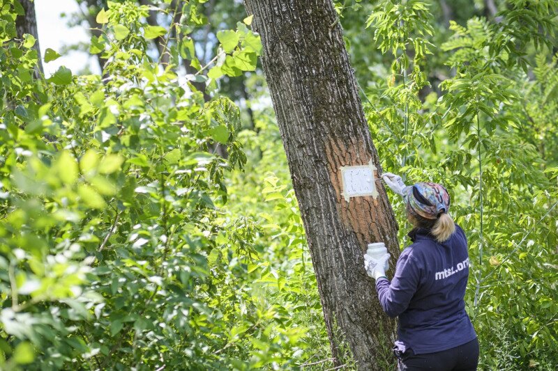 1915_dscf9511_240703_-77b3e965-13816330