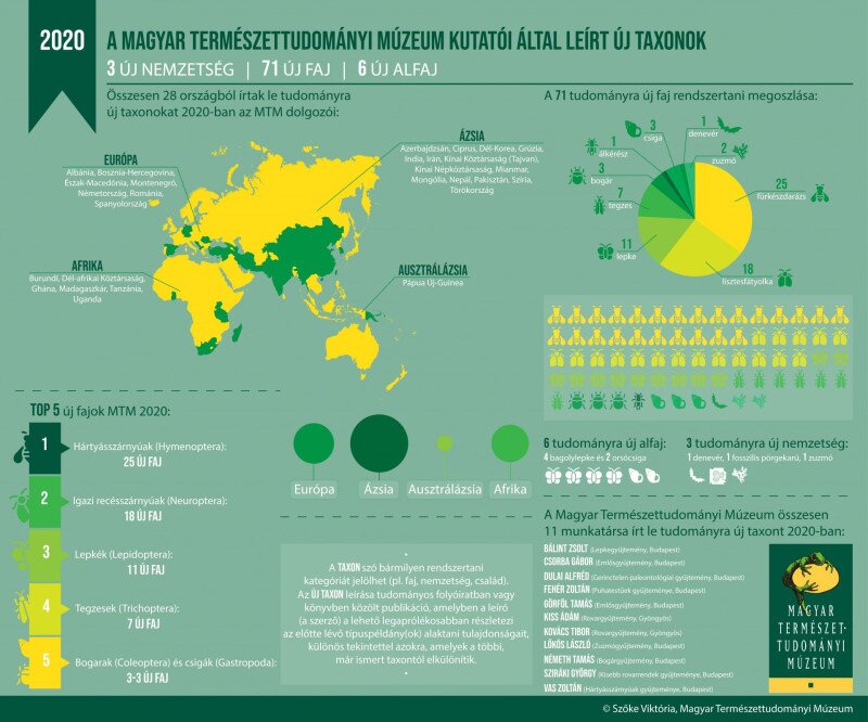 1_osszegzo_infografika_mtm (1)