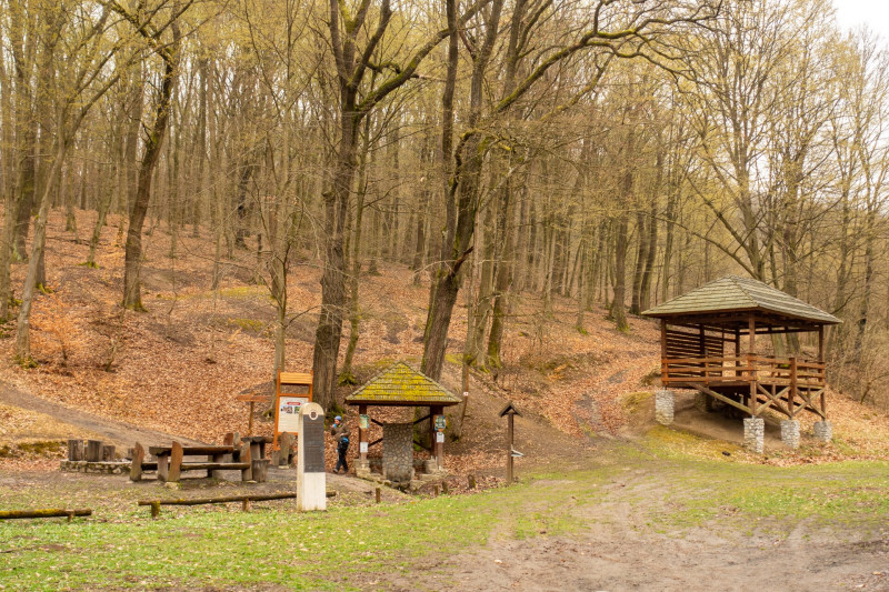 1 Schaffer-kút