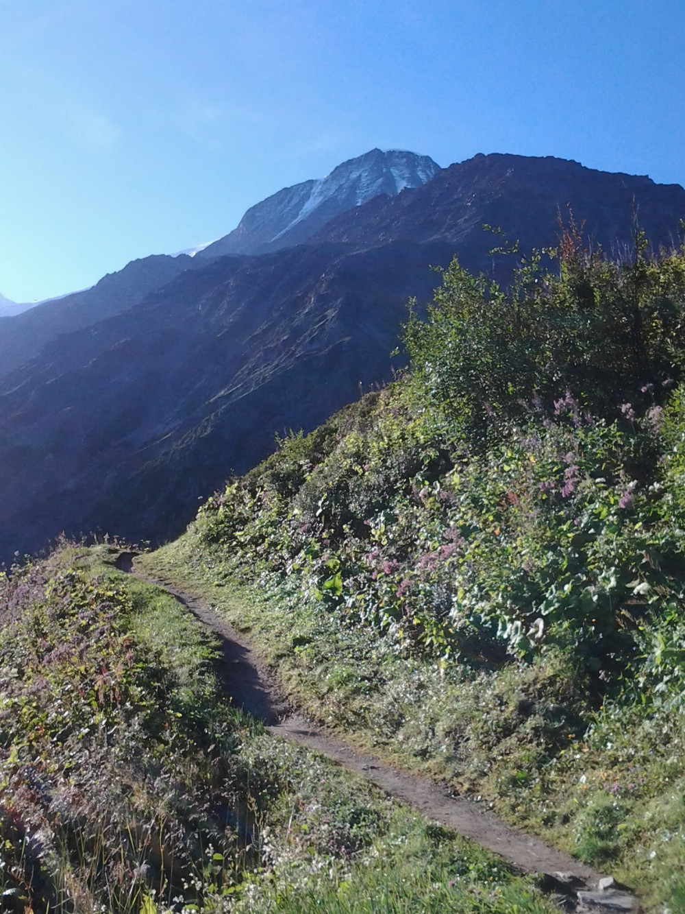 2012-08-09_07_54_47(4).jpg