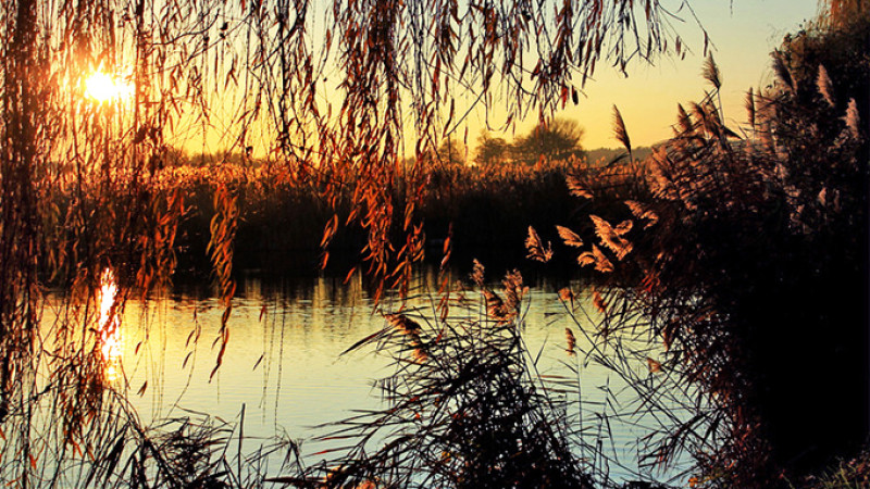 20121101_1236988725b8e2ab8c7b5a853f0dbeef_l.jpg