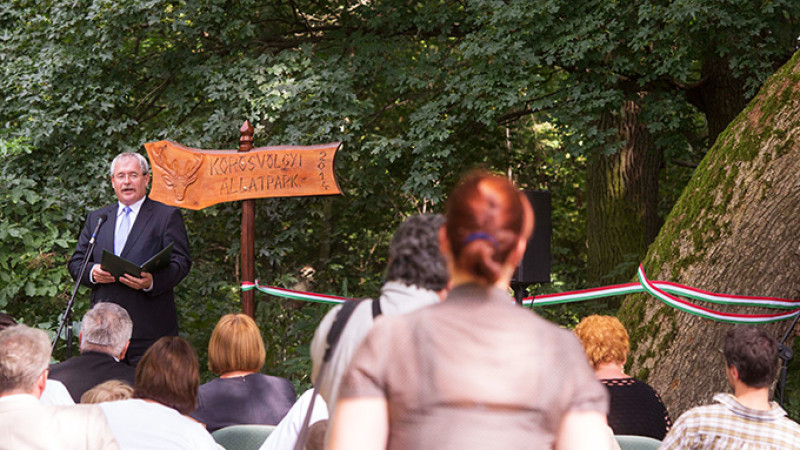 20140725_pel_6056-kk.jpg