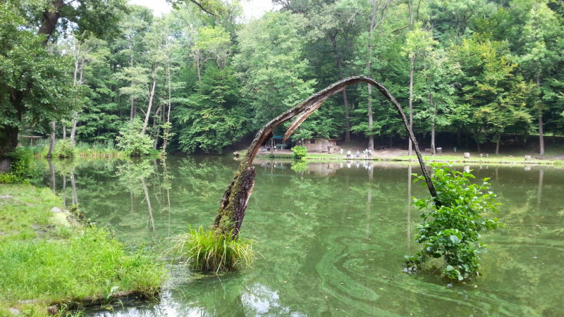 20140827_121531.jpg