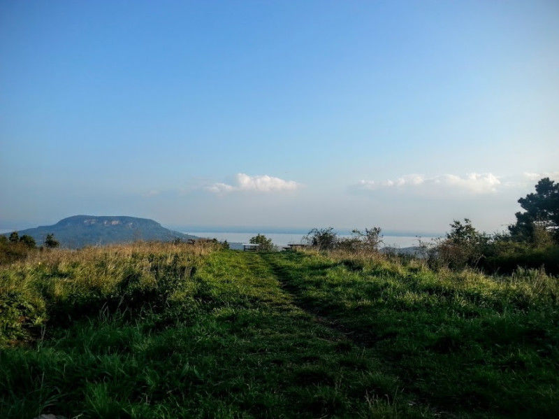 20151005_170412.jpg