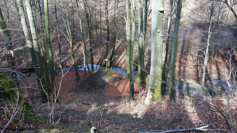 20160306_101057-2.jpg