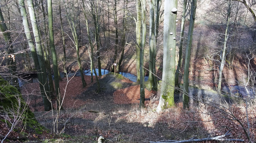 20160306_101057-2.jpg