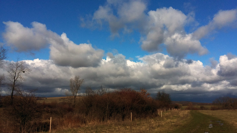 20160306_102215-2.jpg