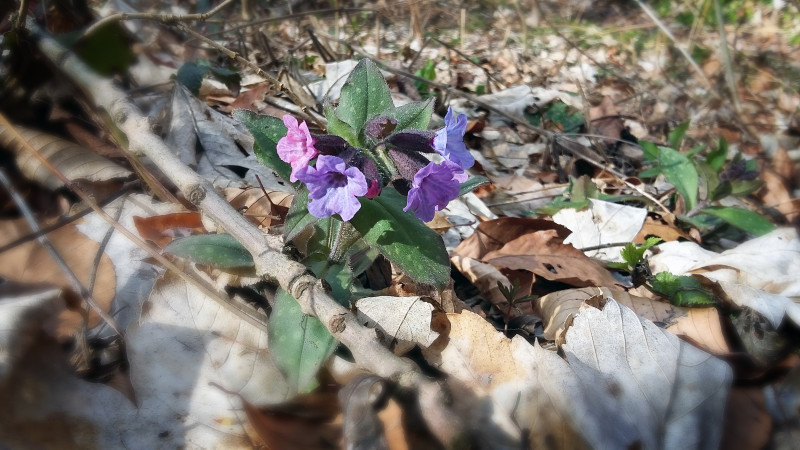 20160306_122654-2.jpg