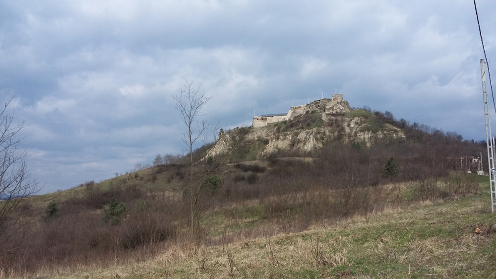 20160319_111635.jpg