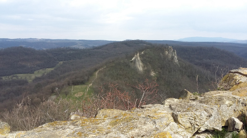 20160319_115115.jpg