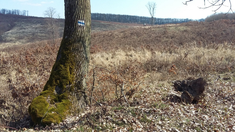 20160320_115810.jpg
