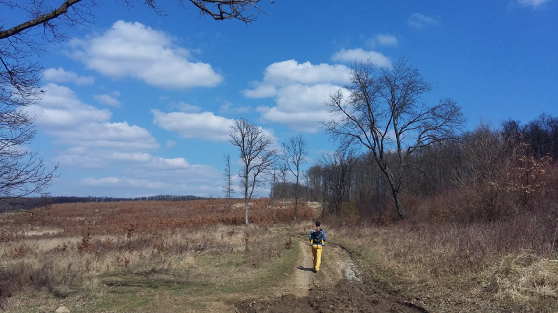20160320_120935.jpg