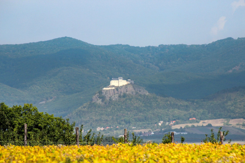 20180908-17-BozsvaUtan