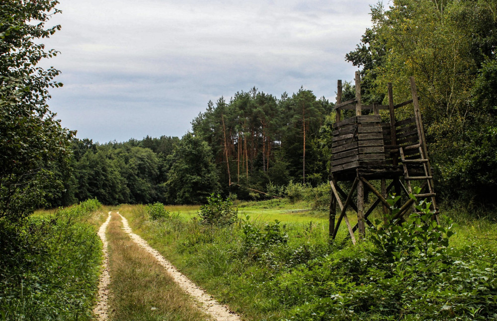 20190906-46-SzalaVolgy