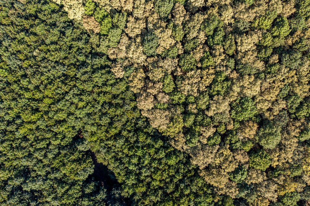 20200916-DJI_0843-HDR