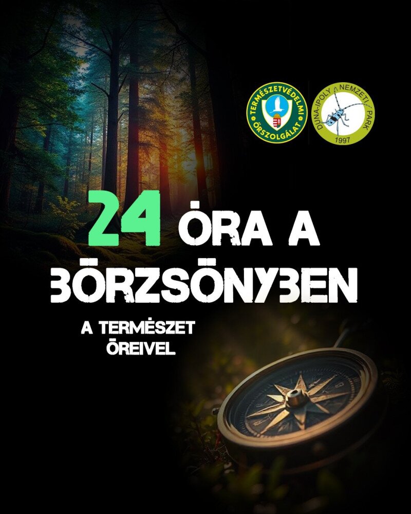 20250409105145-24-borzsony-plakat-6ibug824