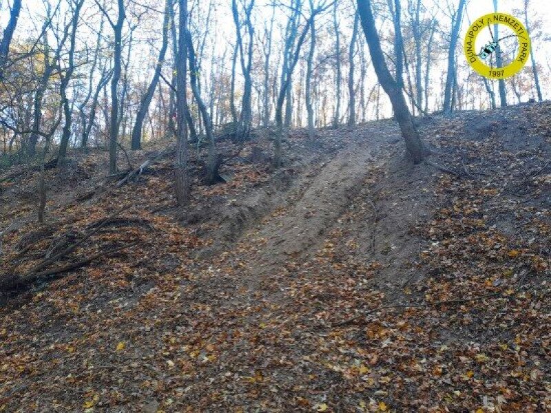 20251203081354-timephoto-20251101-094457-1l6qhr0t