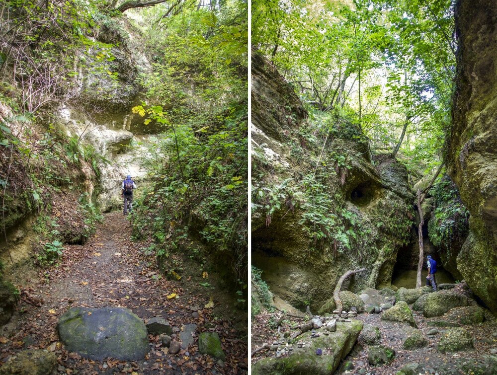 20–30 méteres falak között sétálhatunk (balra), a szurdokvölgy vége páfrányokkal és fatörzsbarlangokkal (jobbra)