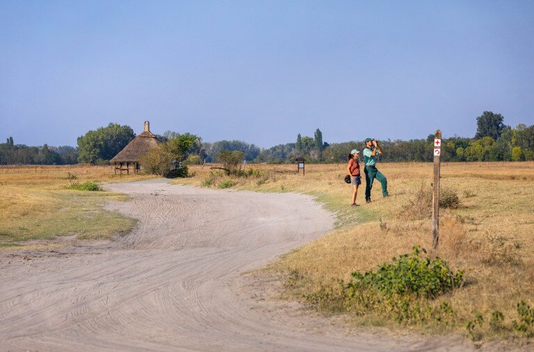 Egy mozgalmas nap az őszi Bugacon