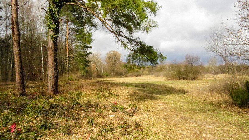 ������������������������������������������������������������������������������������������������������������������������������������������������������������������������������������������������������������������������������������������������������������������������