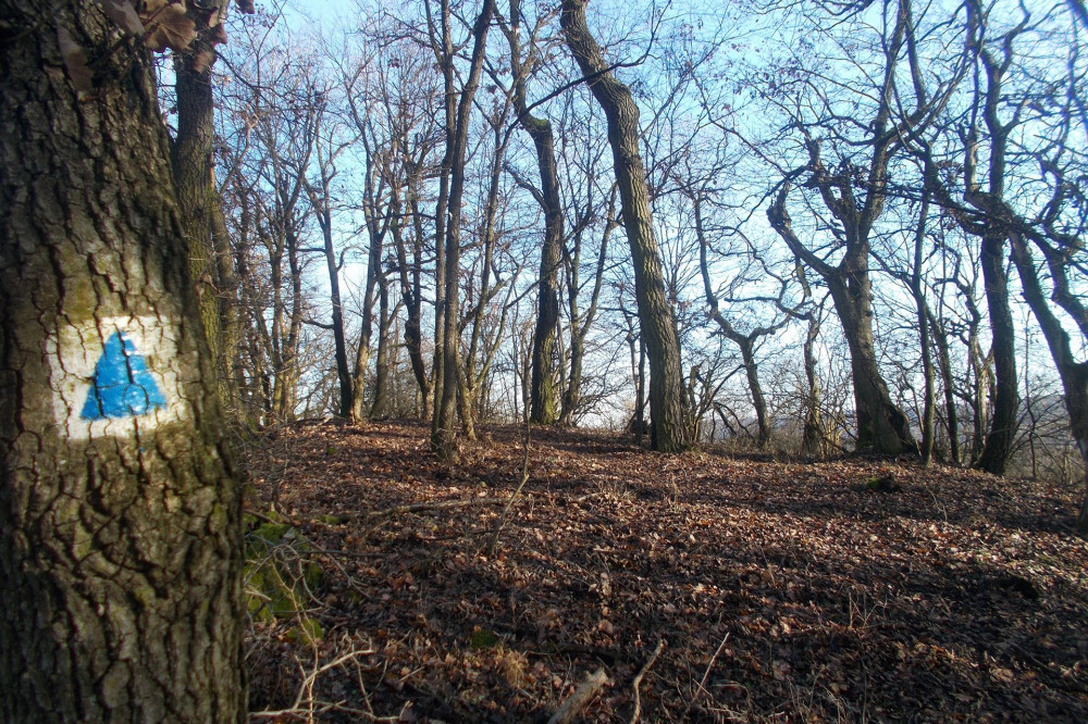 -23. kék háromszög jelzés az Eszkála-tetőn