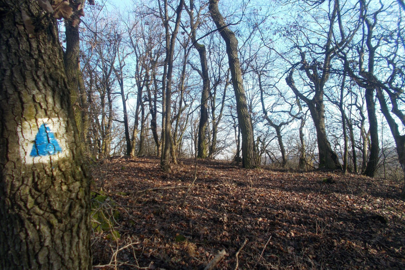 -23. kék háromszög jelzés az Eszkála-tetőn