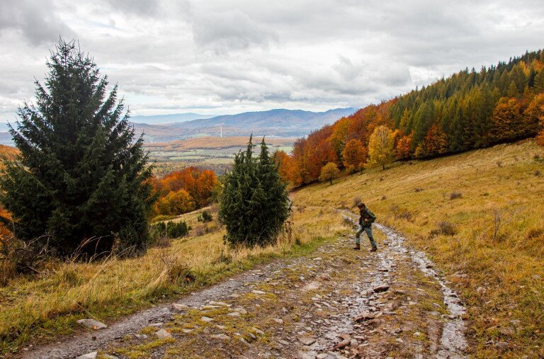 Ősz a Madaras egyedülálló törpebükkösében