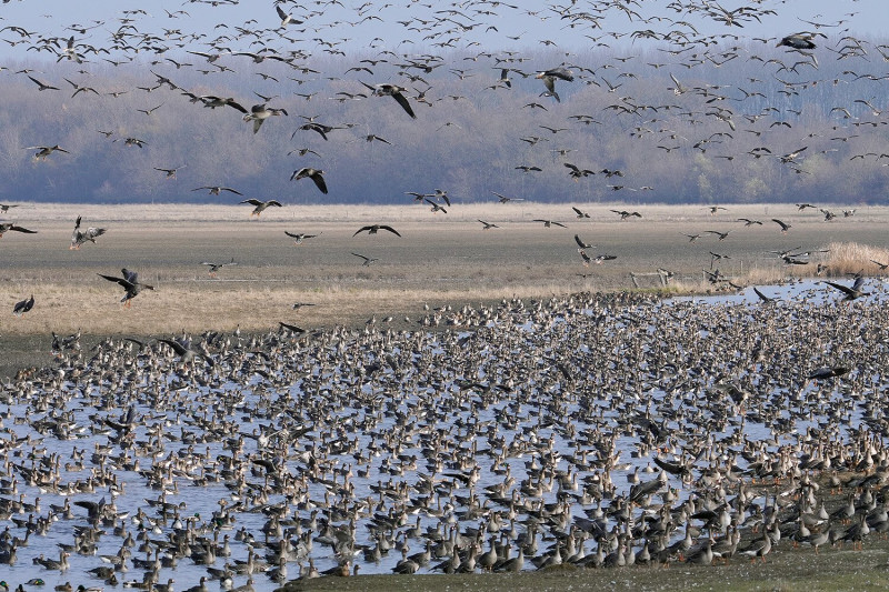 262152876_269166338581054_2394239041078363245_n