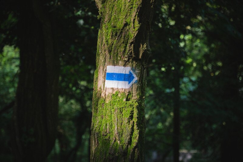 2670_XS101325_250507