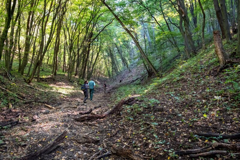 29_Esztergom kozeleben_golyafeszekhez tartva_FOTO_Palvolgyi_Krisztina