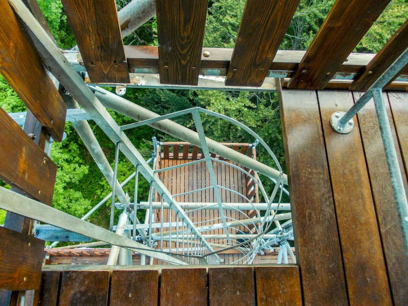 �������� �