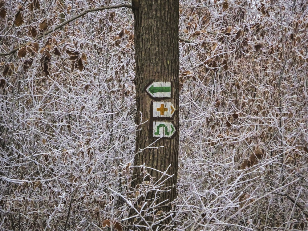 2 A zöld barlangjelzések vezetne Vasas-szakadékhoz