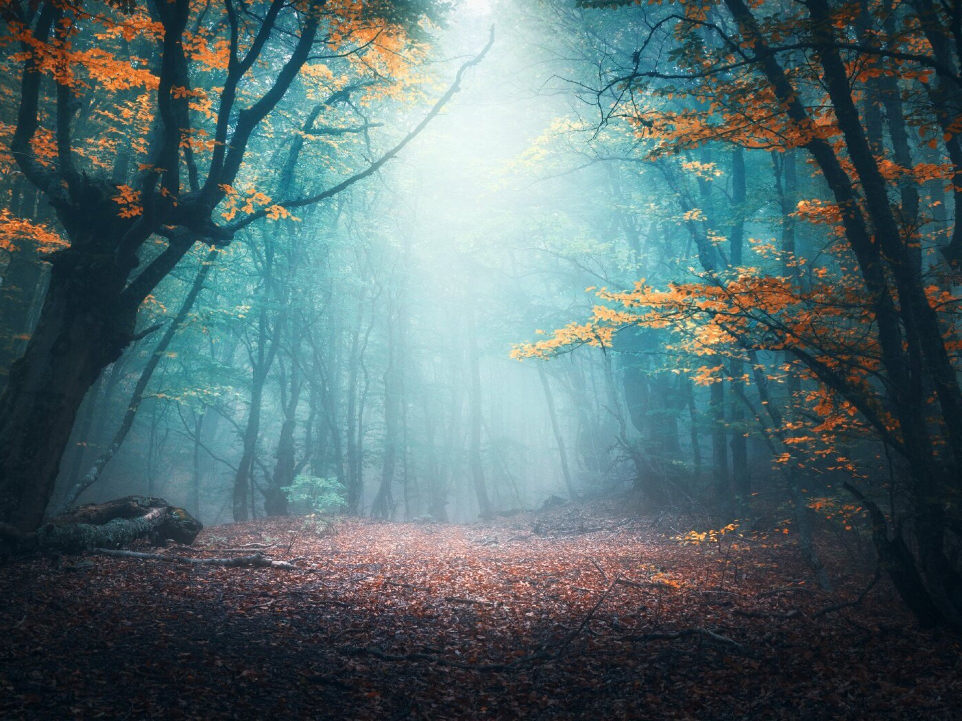 A ködös november misztikuma, és a mögötte álló tudomány