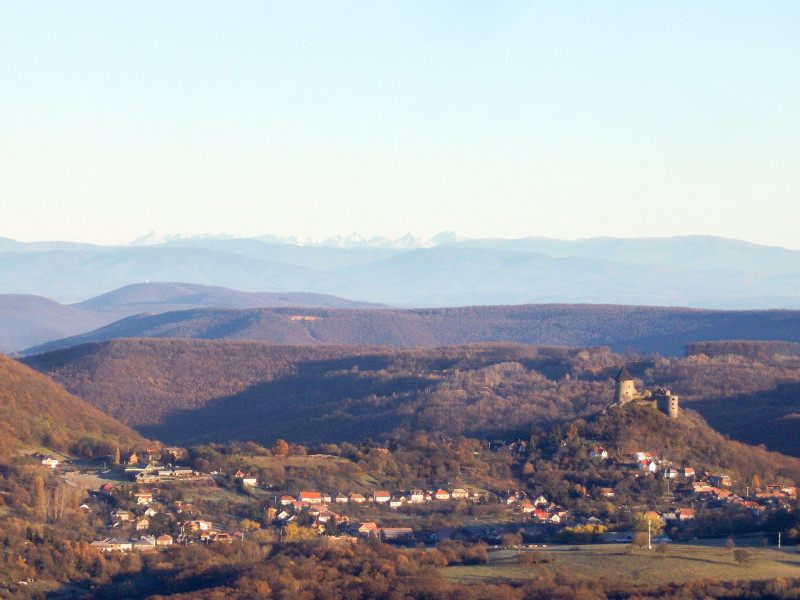 �������� �