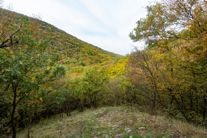 3 Hegyes-hegy-orom nyugati oldalában