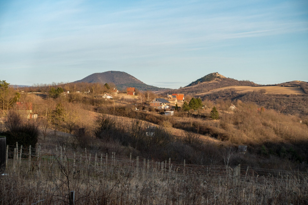 40 Tokod, ó-hegyi szőlők, kilátással
