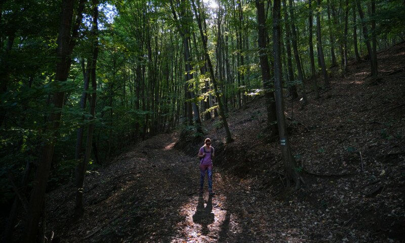 4187_XS109208_240922_