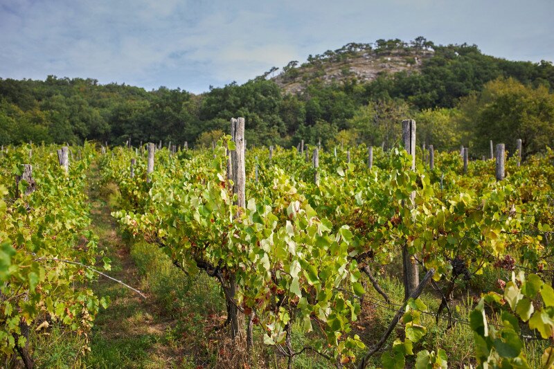 4215_IMG_3489_250910_